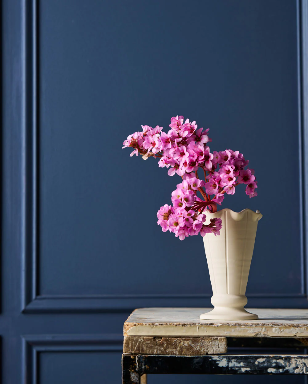 Violet Vase / Trophy Life